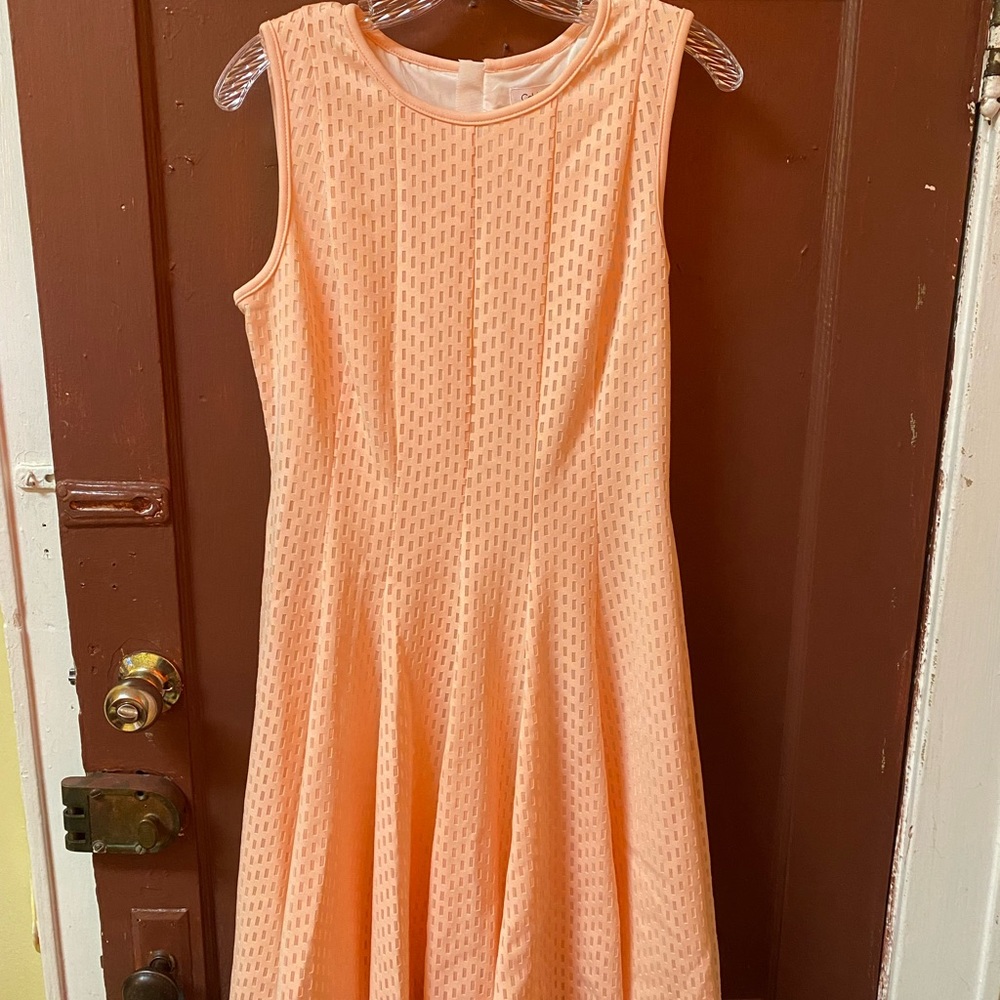 CALVIN KLEIN BLUSH PINK SLEEVELESS A-LINE DRESS WITH SOLID INTERIOR LINING - Picture 11 of 12